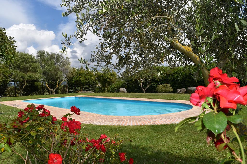 La Cavetta Country House Trevignano Romano Exterior foto